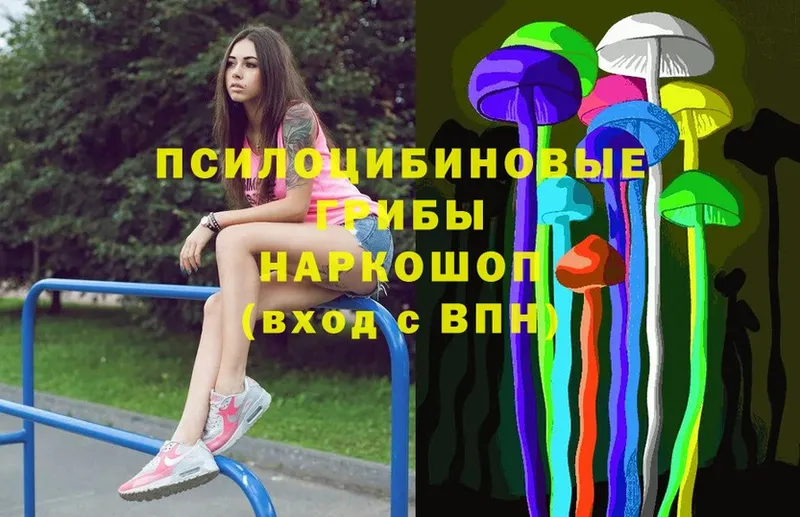 OMG как войти  Елец  Галлюциногенные грибы Psilocybe  наркошоп 